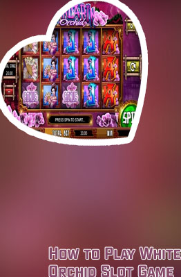 White orchid slot game