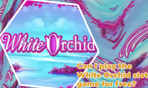 White orchid slots