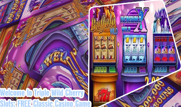 Wild classic free slots